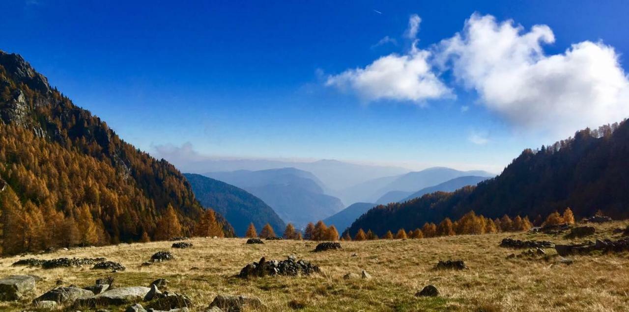 Taxus Hostel Pieve Tesino Eksteriør billede