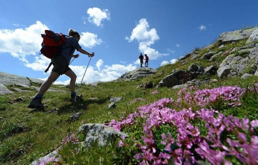 Taxus Hostel Pieve Tesino Eksteriør billede